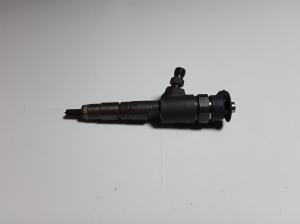   Fuel injector 