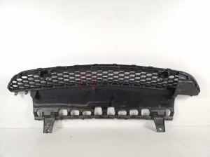  Front bumper lower grille 