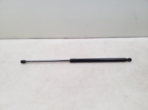   Trunk lid shock absorber 