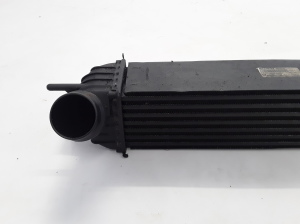 RENAULT Laguna III (2007–2015) Intercooler 144610001N - 2