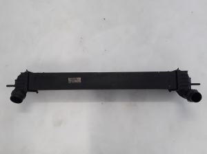 RENAULT Laguna III (2007–2015) Intercooler 144610001N - 3