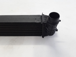 RENAULT Laguna III (2007–2015) Intercooler 144610001N - 4