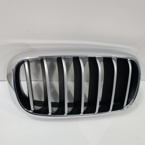 Front grille - 51137373698