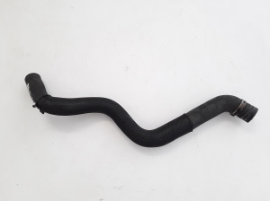   Radiator hose  - 215010012N  