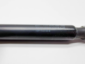 Tesla Model 3 3 (2016–2024) Hood prop/gas strut 1091560-00-B - 2
