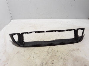   Front bumper lower grille 