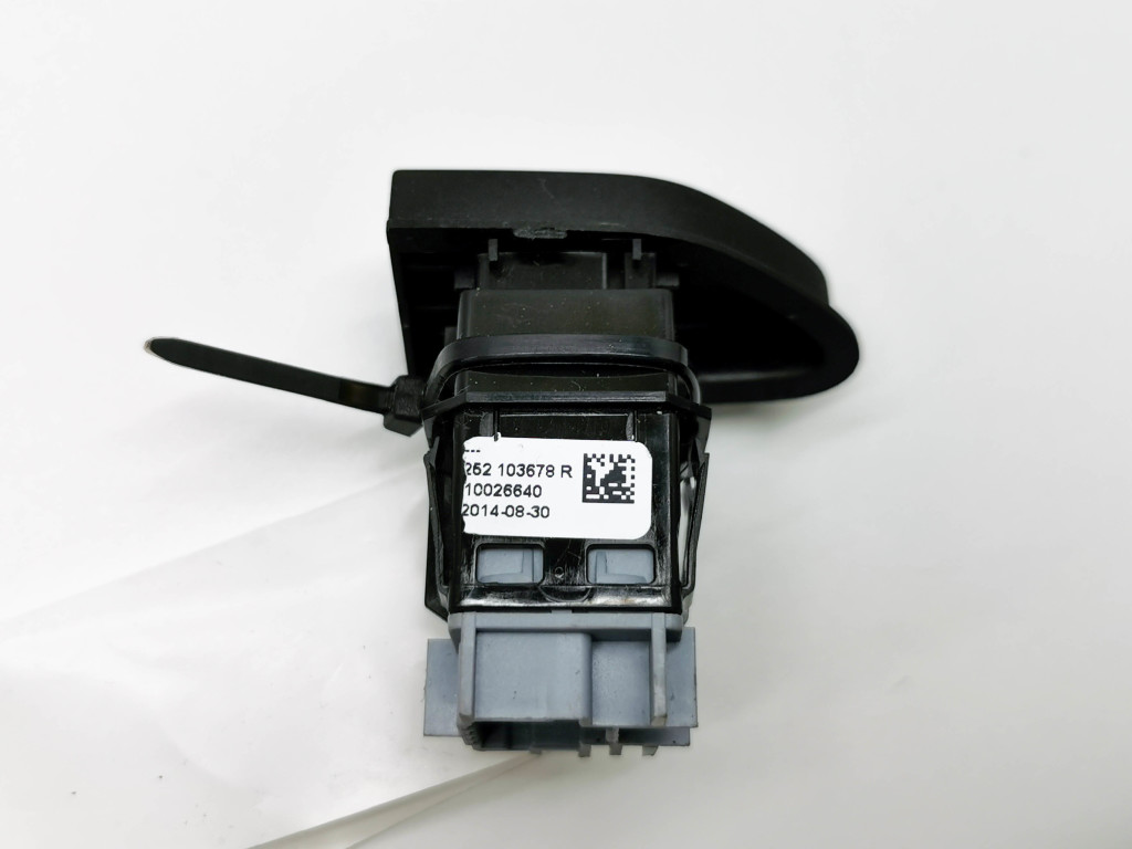 RENAULT Zoe 1 generation (2012-2023) Central locking switch 252103678R 21475195