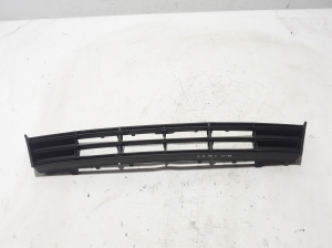   Front bumper lower grille 