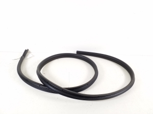 Ford Focus (2011–2018) Türdichtung hintere Seitentür (an der Tür) BM51N25324AF - 2