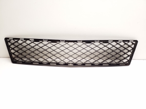   Front bumper lower grille 