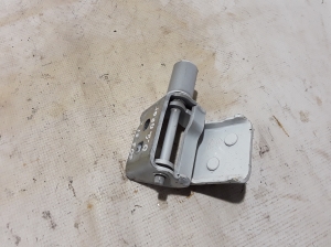   Rear side door hinge lower 