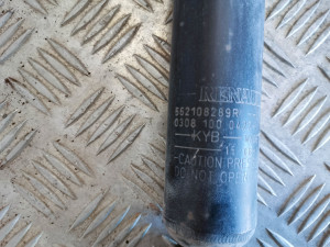 RENAULT Zoe (2012–2026) Stoßdämpfer hinten 562108289R - 3