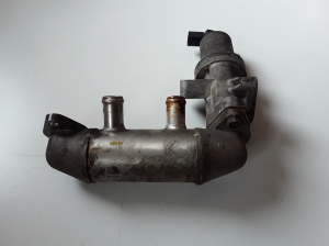  EGR valve and its parts 