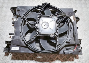RENAULT Zoe (2012–2026) Dzesēšanas radiators un tā daļas 214819480R - 3