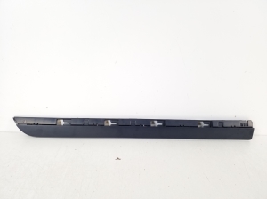 Rear side door molding - 3G0854950