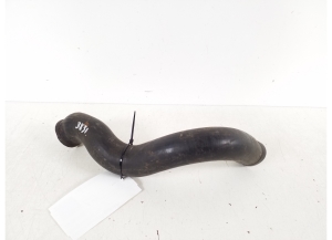   Wasserschlauch Kühler  - A1075010282 