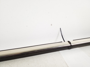 BMW X3 E83 (2003–2010) Fensterschachtleiste außen Tür hinten - 4