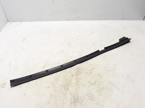 Front door weatherstrip - 808319638R