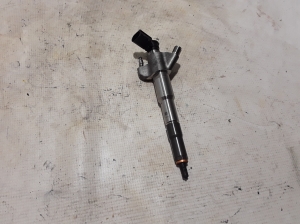 Fuel injector - 166009567R
