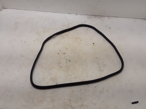   Front door rubber seal  - 808328711R 