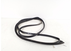   Rear side door seal on the door  - 67871-52160 