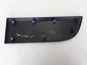 RENAULT Master III (2010–2017) Esiukse liist 808210166R - 2