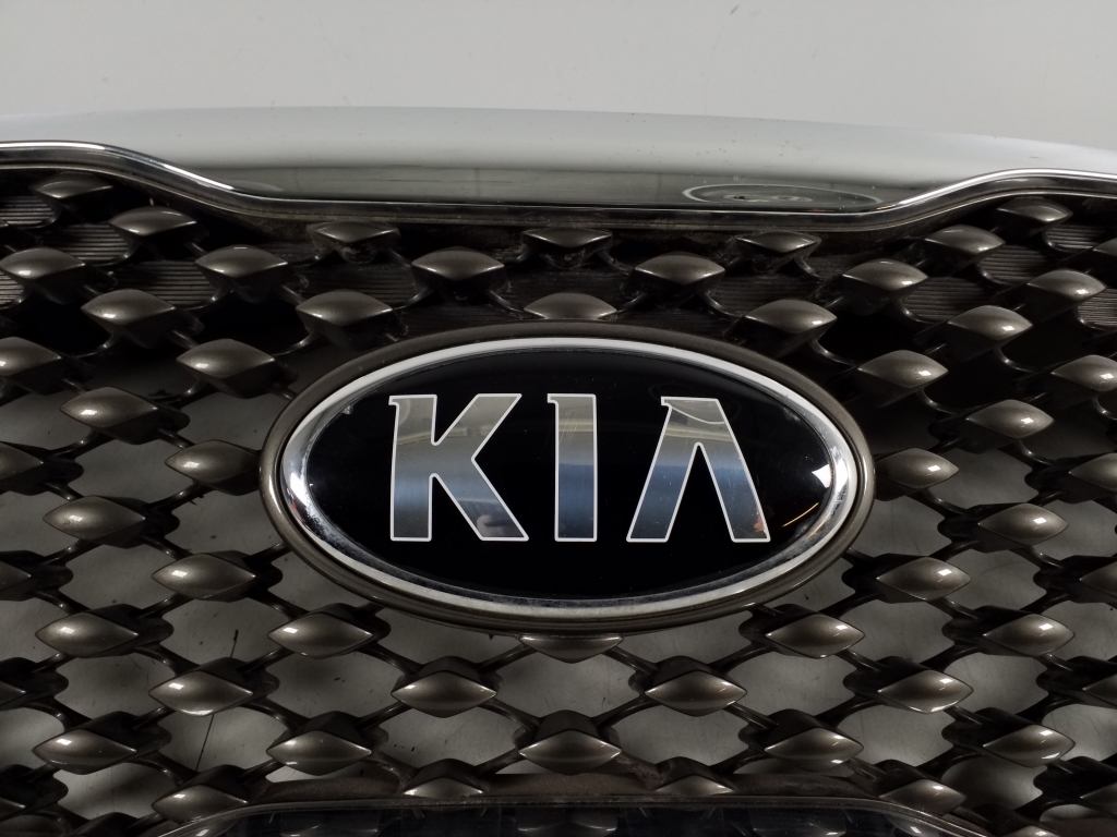 Used Kia Sorento Front grille 86352-C5000