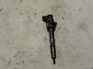   Fuel injector 