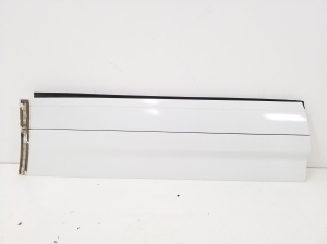   Rear side door strip 