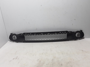   Front bumper lower grille 