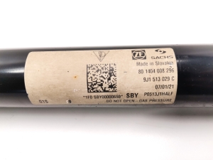 Porsche Taycan 9J1 (2019–2026) Stoßdämpfer hinten 9J1513029C - 2