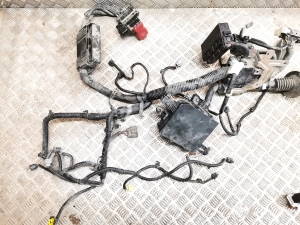 NISSAN Leaf I (2010–2017) Engine wiring harness 240123NL0B - 3
