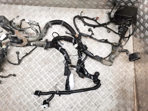 NISSAN Leaf I (2010–2017) Engine wiring harness 240123NL0B - 4