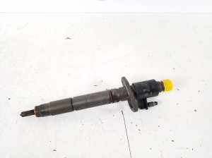   Fuel injector 