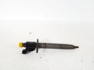   Fuel injector 