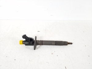   Fuel injector 