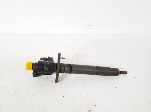   Fuel injector 