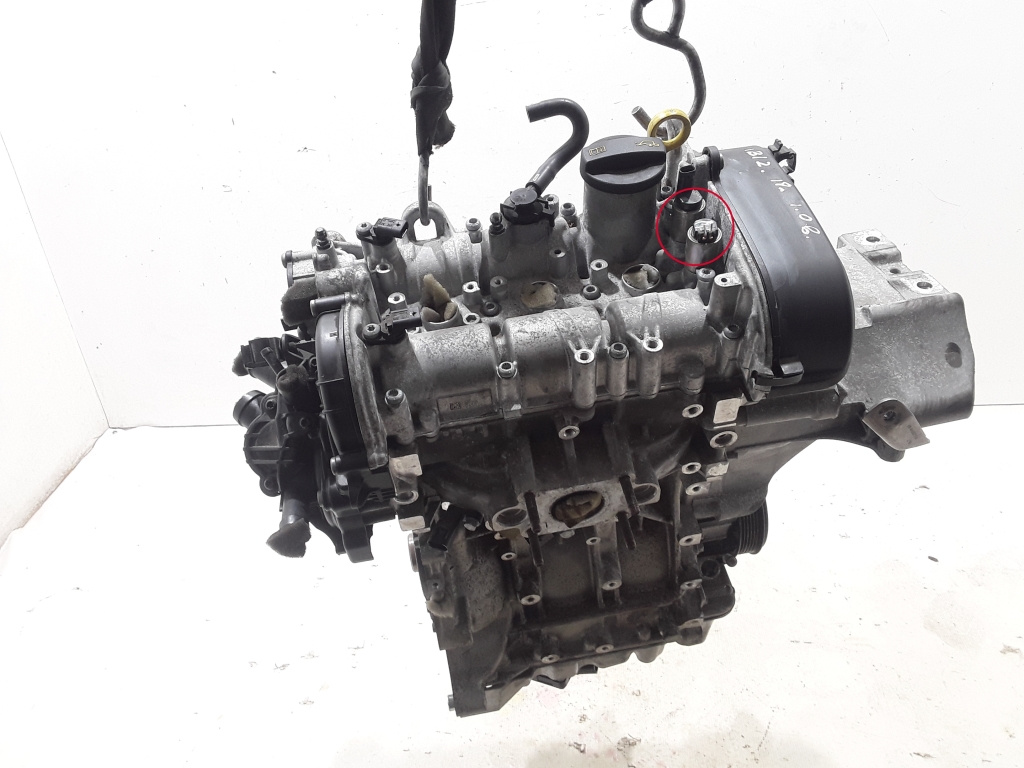 SEAT Ibiza 5 generation (2017-2023) Bare Engine CHZL 21053670