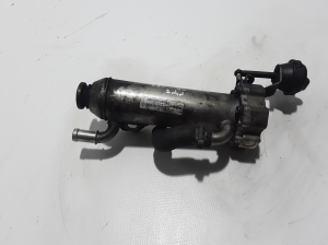   EGR valve cooler 