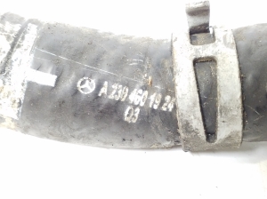 Mercedes Benz SL-Class 230 (2001–2012) Roolilati voolik A2304601924 - 3