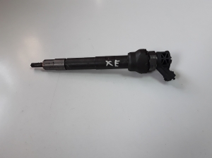   Fuel injector 