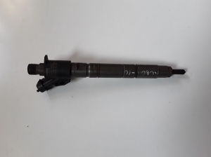   Fuel injector 