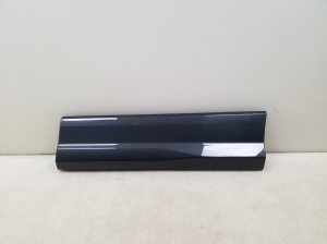 Rear side door molding - 81A853969B