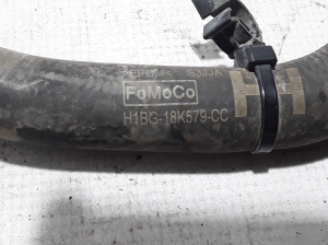 Ford Fiesta (2017–2026) Radiator hose H1BG18K579CC - 3