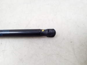 BMW i 3 I01 (2013–2026) Hood prop/gas strut 7299161 - 4