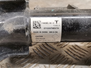 Tesla Model Y Y (2020–2026) Front shock absorber 1188368-00-E - 5