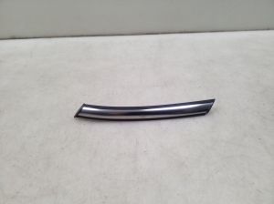 Front fender molding - 7300595