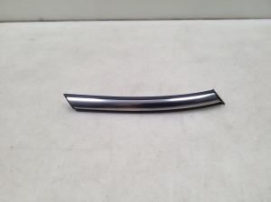Front fender molding - 7300597