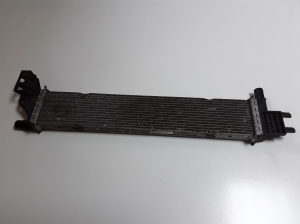 Dacia Dokker (2017–2026) Dzesēšanas radiators un tā daļas 214108831R - 3