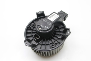  Salona plecu motors 